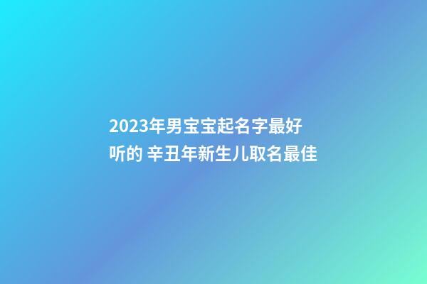 2023年男宝宝起名字最好听的 辛丑年新生儿取名最佳